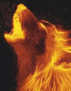 Sticker Для-Леди Огонь🔥 @Ctikerubot - 6