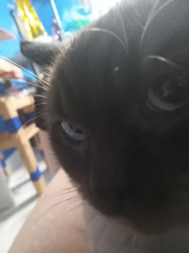 Sticker pack_356892_by_Ctikerubot - 1