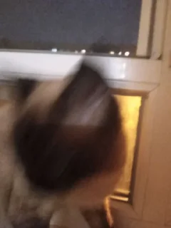 Стикер сима бог @Ctikerubot - 0