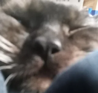 Стикер сима бог @Ctikerubot - 1