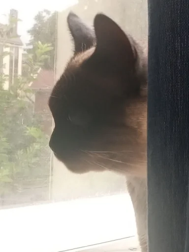 Sticker pack_356919_by_Ctikerubot - 1