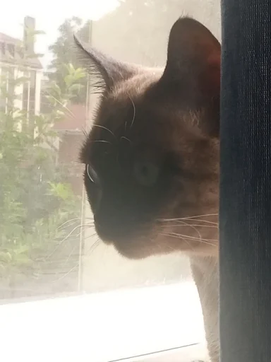 Sticker pack_356919_by_Ctikerubot - 1