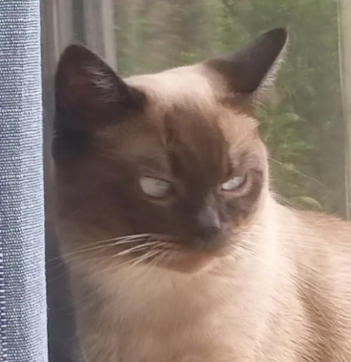 Sticker pack_356919_by_Ctikerubot - 1