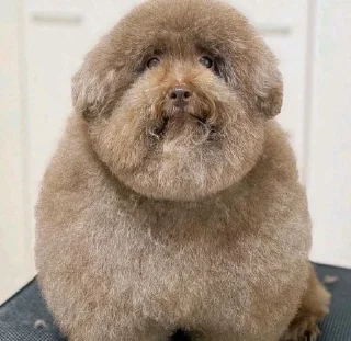 Sticker Пан @Ctikerubot - 3