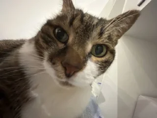 Sticker Nikr @Ctikerubot - 4