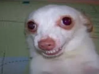 Sticker Nikr @Ctikerubot - 3