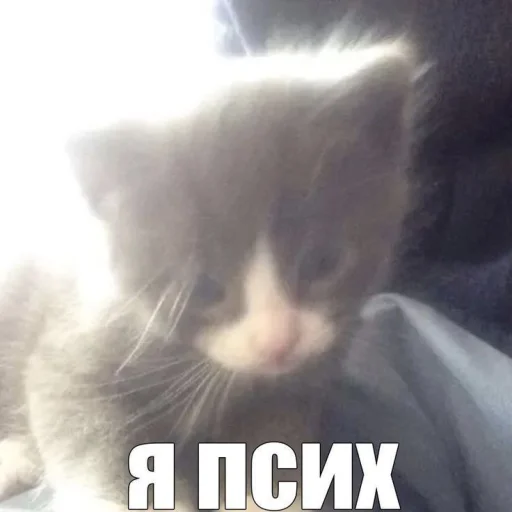 Стикер pack_484573_by_Ctikerubot - 1