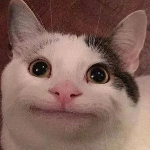 Sticker pack_515469_by_Ctikerubot - 1