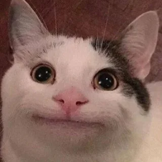 Стикер Стики @beluga1023 больше стиков тут @Ctikerubot @Ctikerubot - 5