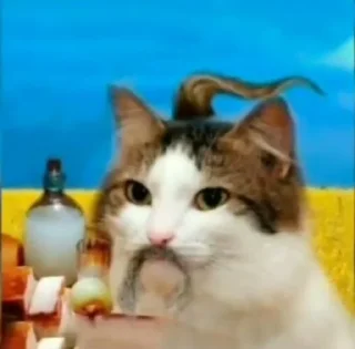 Стикер Стики @beluga1023 больше стиков тут @Ctikerubot @Ctikerubot - 3