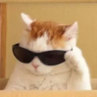 Стикер Стики @beluga1023 больше стиков тут @Ctikerubot @Ctikerubot - 6