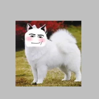 Стикер Свадьба😳 @Ctikerubot - 5