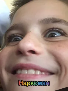 Стикер Тюбики лагерь 2023 @Ctikerubot - 3