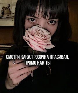 Sticker Викуля @Ctikerubot - 0