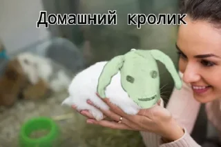 Стикер Твоё нежное безумие
@IshouldknowcusImthedoctorhere @Ctikerubot - 11