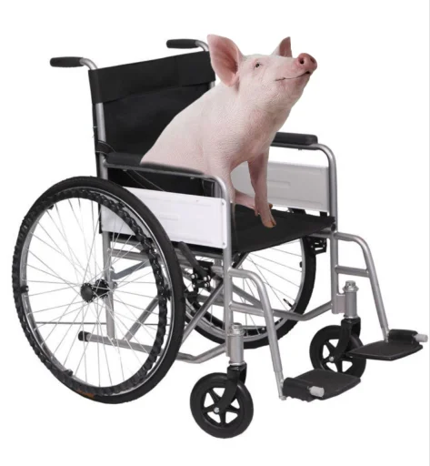 Sticker pack_5c699_by_TgEmodziBot - 1