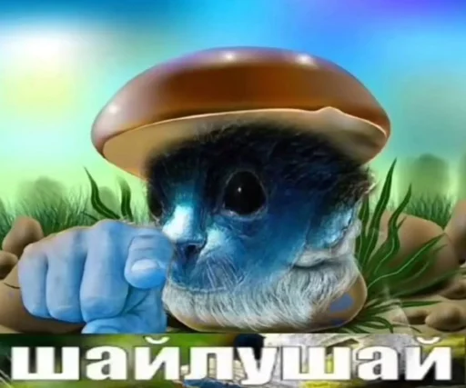 шайлушай @Ctikerubot - 