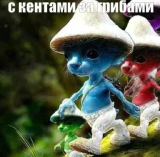 Стикер шайлушай @Ctikerubot - 11