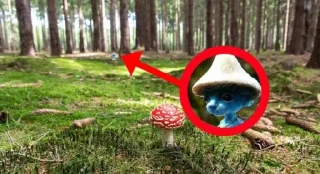 Стикер шайлушай @Ctikerubot - 2