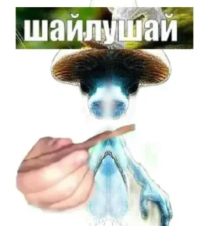 Стикер шайлушай @Ctikerubot - 8