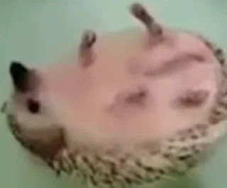 Стикер Макс топ @Ctikerubot - 4