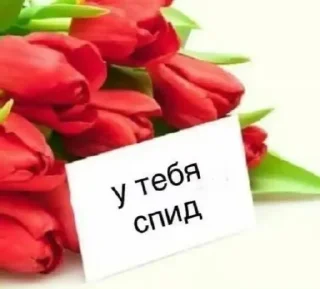 Стикер Пидорасня. автор:@BromyTick @Ctikerubot - 9