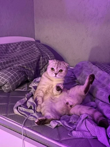 Sticker pack_683466_by_Ctikerubot - 1