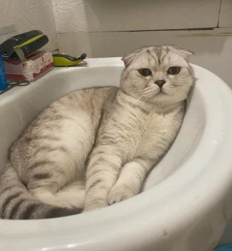 Sticker pack_683466_by_Ctikerubot - 1