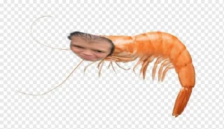 Sticker Илья Рябов легенда @Ctikerubot - 5