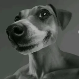 Стикер @KAM_or_cucumber @Ctikerubot - 1