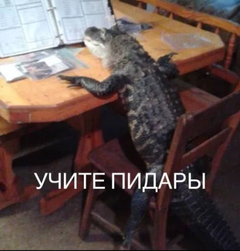 Sticker pack_747555_by_Ctikerubot - 1