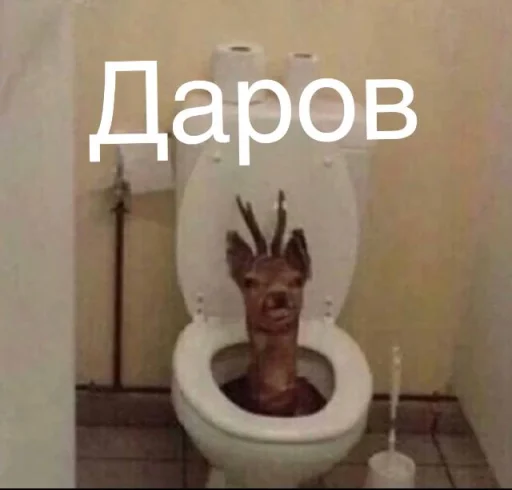 Memwia @Ctikerubot - 