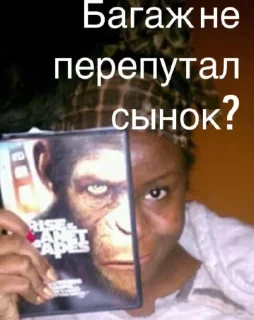 Стикер Memwia @Ctikerubot - 5