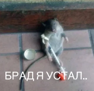 Стикер Memwia @Ctikerubot - 2