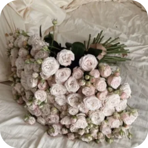 @St1kersG Beauty | Flowers💐 - 