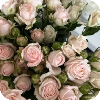 Стикер @St1kersG Beauty | Flowers💐 - 6