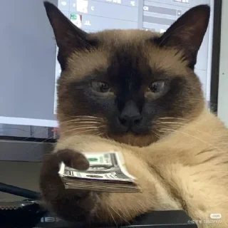 Стикер Коты @TgEmodziBot - 7