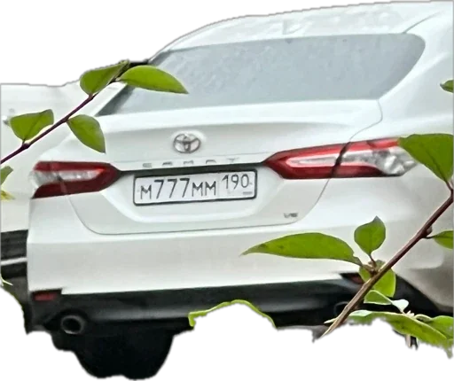 AMRovskie @SozdaiStickeriBot - 