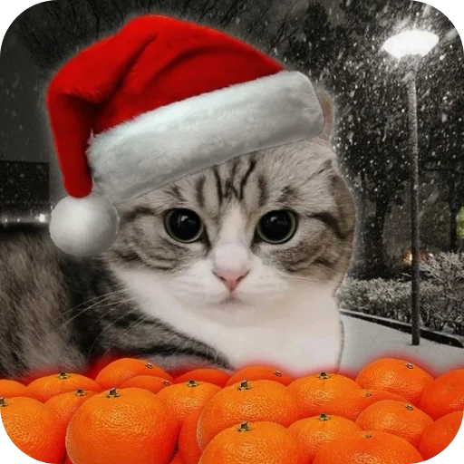 Sticker pack_kamaru_by_TgEmodziBot - 1