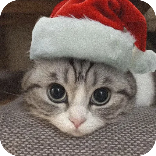 Стикер pack_kamaru_by_TgEmodziBot - 1