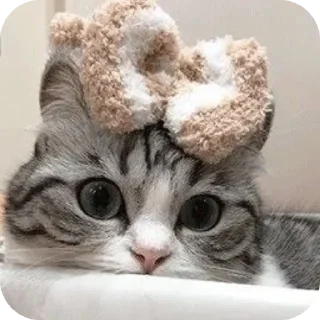 Sticker Камару @Komaryartemka - 4