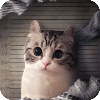 Sticker Камару @Komaryartemka - 8