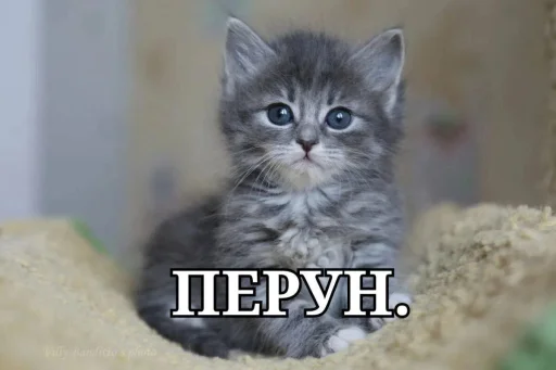 Sticker pack_kingdom_by_TgEmodziBot - 1