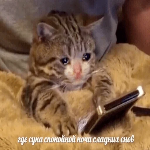 Sticker pack_leilochka0206 - 1