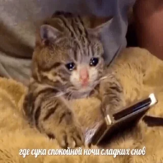 Sticker pack_mbabtmp - 4