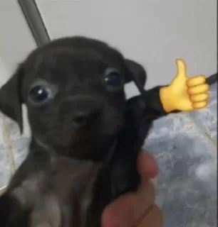 Стикер Просто @SozdaiStickeriBot - 10