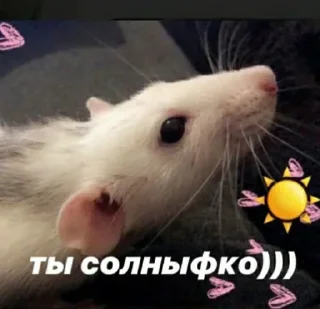 Стикер 😁 Мемности из @JetStickers - 2