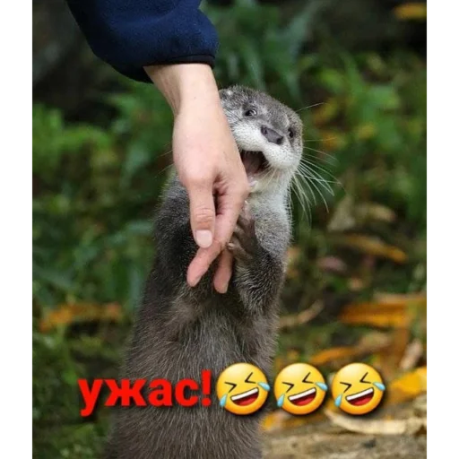 Стикер пак для олигофренов - 11