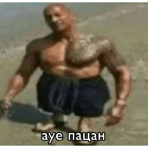 Человек барехстед мышца