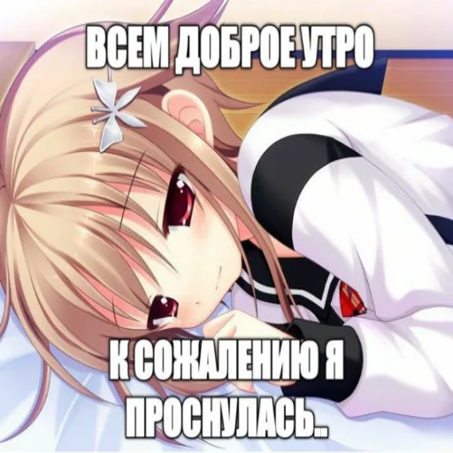 Sticker packqwiixty - 1